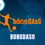 Bongdaso - Theo dõi và soi kèo bóng đá miễn phí 2026