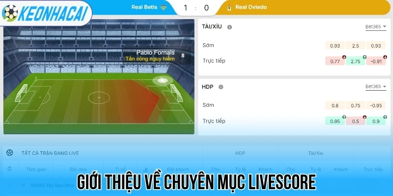 Livescore – Trực Tuyến Bóng Đá 247 Chi Tiết Và Chính Xác 59 Giới thiệu về chuyên mục livescore