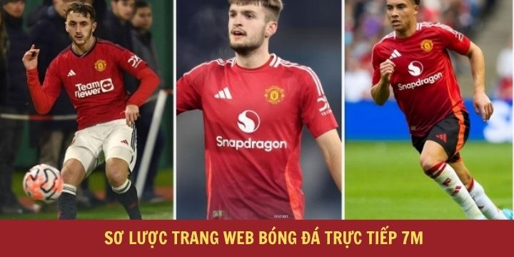 Đôi nét về trang đưa tin 7m cho người dùng mới