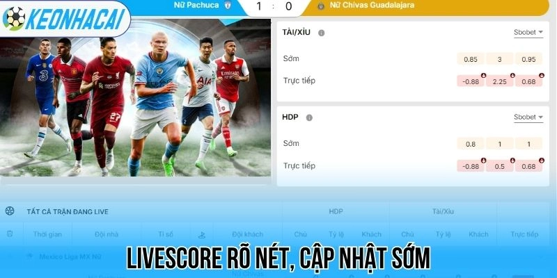 Kèo nhà cái 201 Livescore rõ nét, cập nhật sớm
